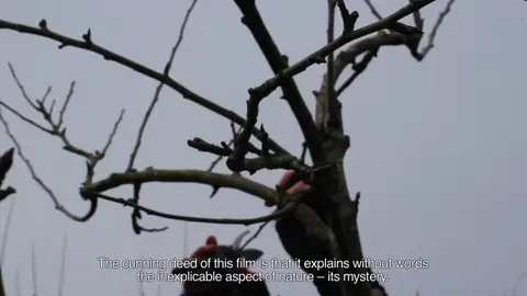 Bárbara Sánchez Barroso. Bárbara Sánchez Barroso.