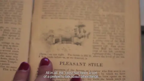 Bárbara Sánchez Barroso. Bárbara Sánchez Barroso.