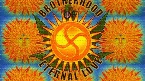 La hermandad del LSD. La hermandad del LSD.