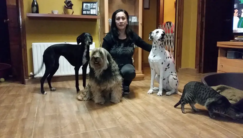 Isa. Cinco perros, tres gatos y una tortuga de florida de 27 años