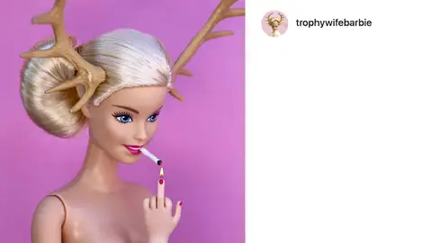 Trophywifebarbie, proyecto de Annelies Hofmeyr Trophywifebarbie, proyecto de Annelies Hofmeyr