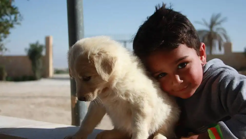 Un niño palestino con un perro