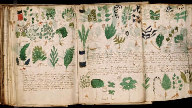 Crean una réplica exacta del misterioso Manuscrito Voynnich: un texto escrito en una lengua que no es humana