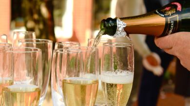 Pronósticos para 2019