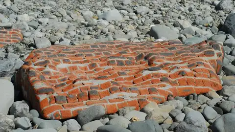 timechanges6.jpg Liopardo