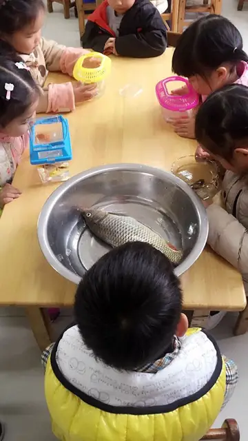 funny-kids-taking-things-literally-2-5874fc3a3417b__605.jpg Liopardo