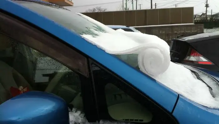 frozen-car-art-winter-frost-4-5880902eb4ac2__700.jpg
