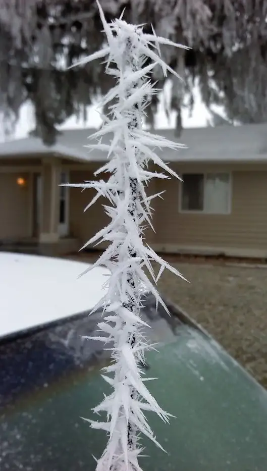 frozen-car-art-winter-frost-17-5880905dc9503__700.jpg