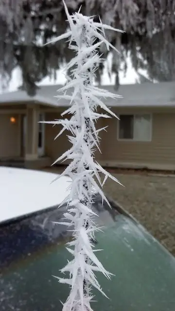 frozen-car-art-winter-frost-17-5880905dc9503__700.jpg Liopardo