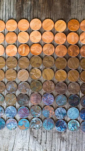 timechanges3.jpg Liopardo