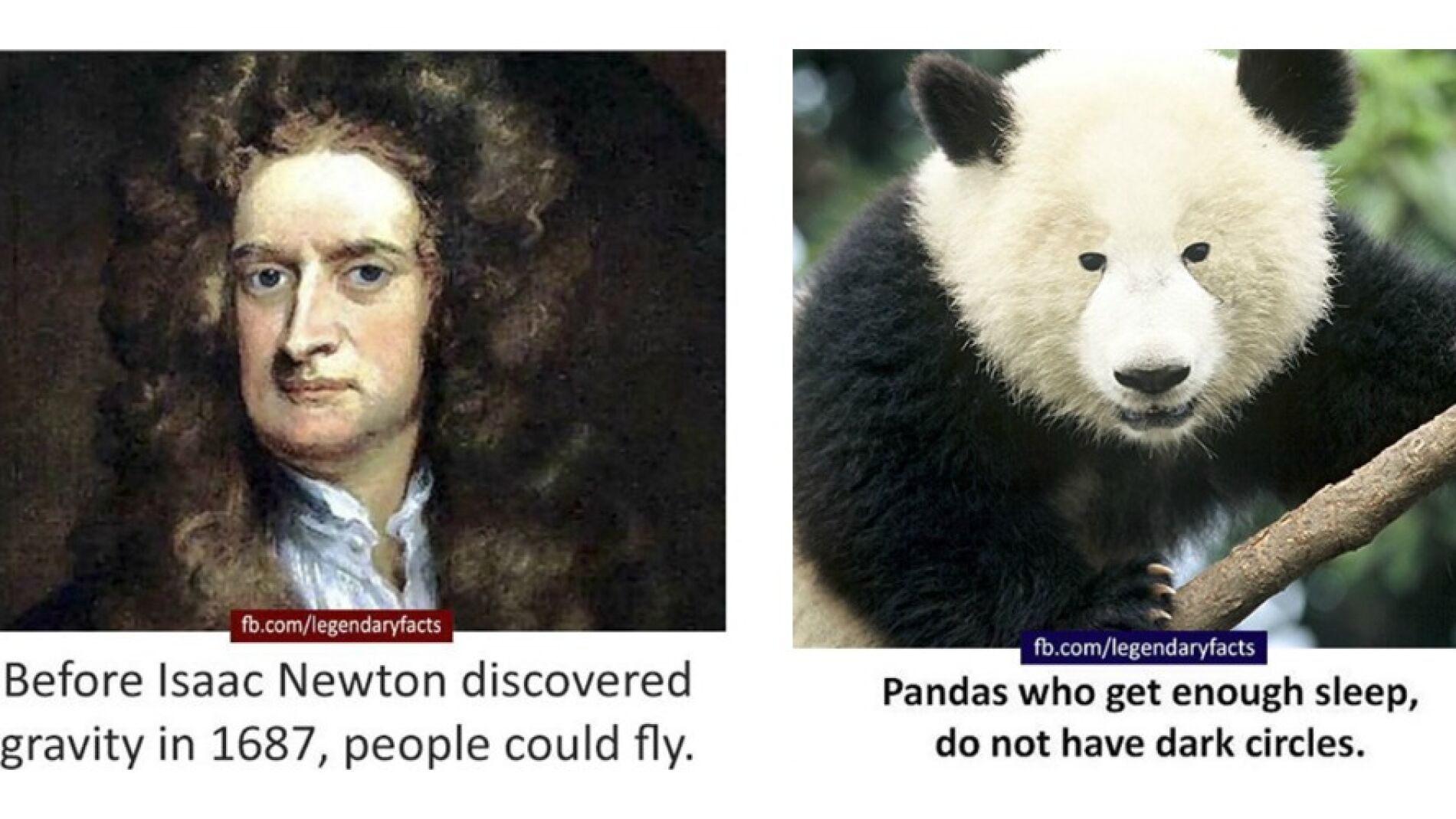 absurdadesportada.jpg