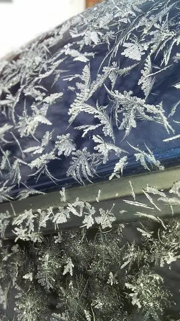frozen-car-art-winter-frost-1-588090264641a__700.jpg Liopardo