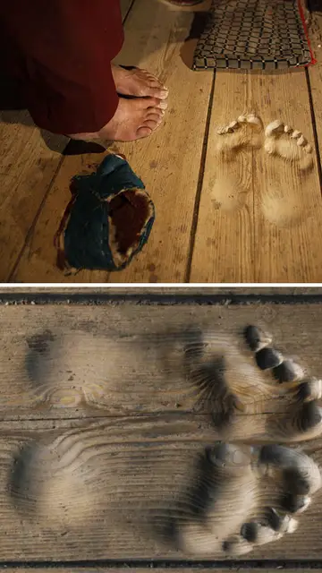 timechanges1.jpg Liopardo