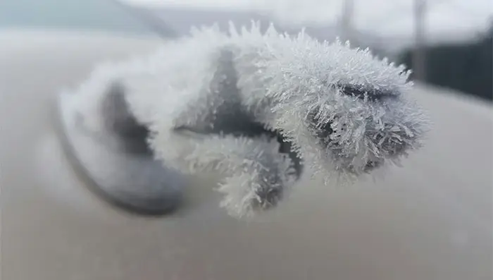 frozen-car-art-winter-frost-coverimage.jpg