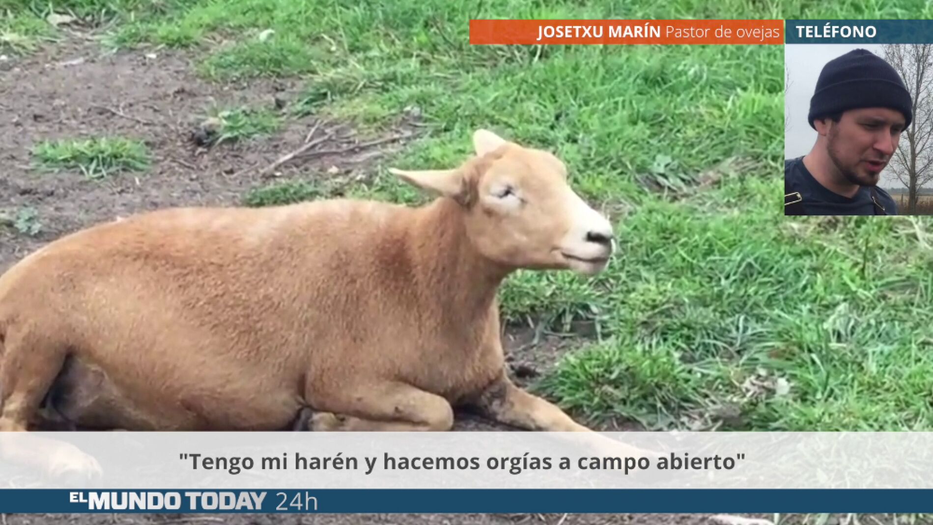 ovejamundo.png