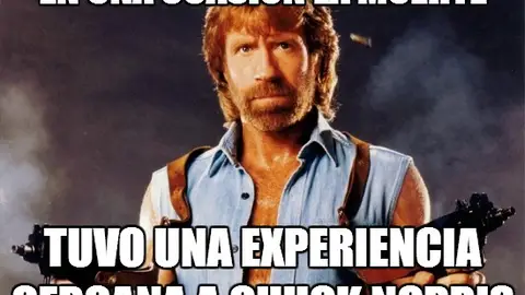 chucknorris1.jpeg Liopardo