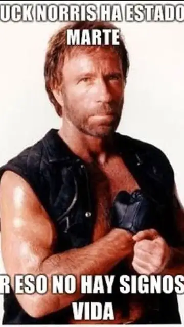 chucknorris10.jpg Liopardo