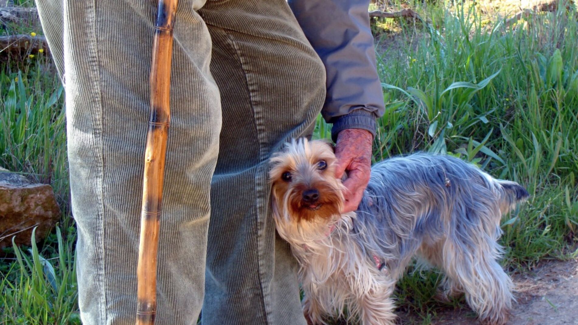 man_elder_dog_love_person_people_grandfather-1286481.jpg