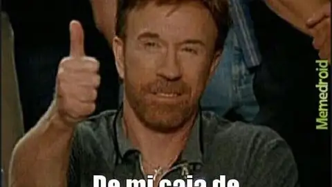 chucknorris12.jpg Liopardo