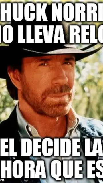 chucknorris17.jpg Liopardo