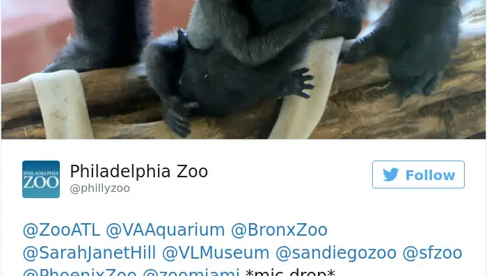 cute-zoo-animal-tweet-off-13.jpg