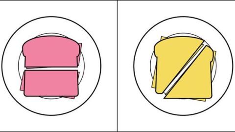 ilustraciones6