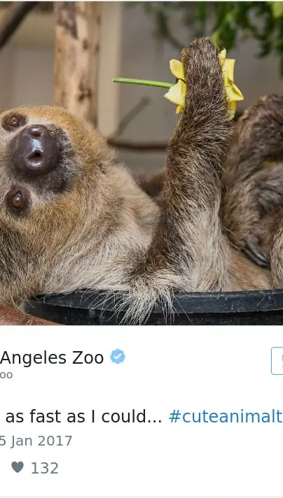 cute-zoo-animal-tweet-off-7.jpg