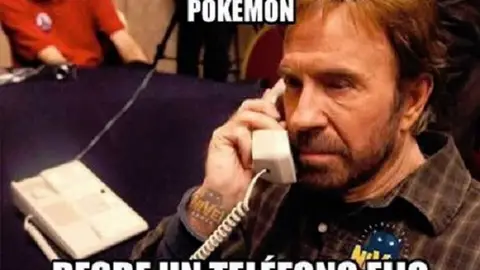 chucknorris8.jpg Liopardo