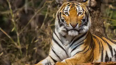 sub-buzz-15122-1496265446-1.jpg sub-buzz-15122-1496265446-1