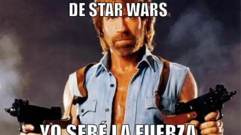 chucknorris13.jpg Liopardo