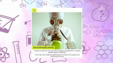 ¿Superarías el test sobre ciencia del Gobierno?