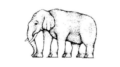 Ilusión óptica imposible de responder: ¿Cuántas patas tiene el elefante?