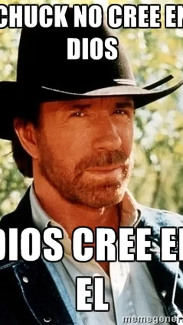 chucknorris4.jpg Liopardo