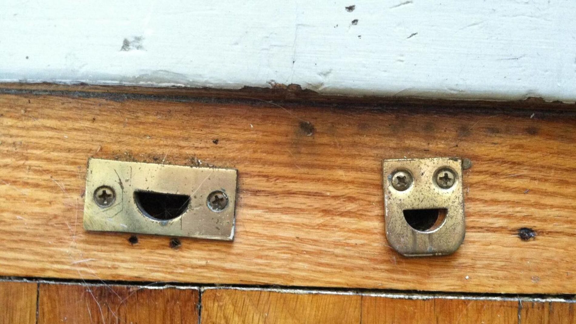 pareidolia1.jpg