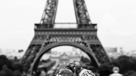 kissess9.jpg Liopardo