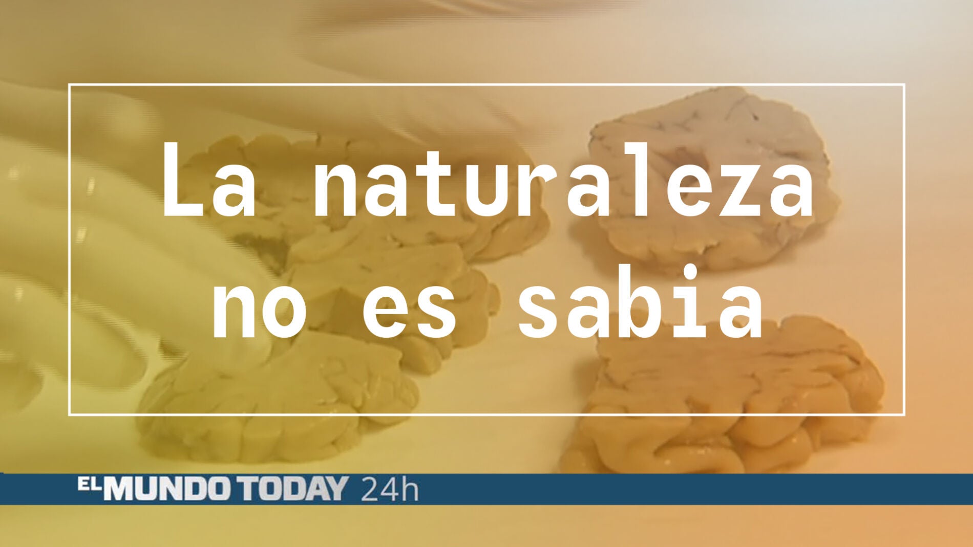naturalezasabia2.jpg