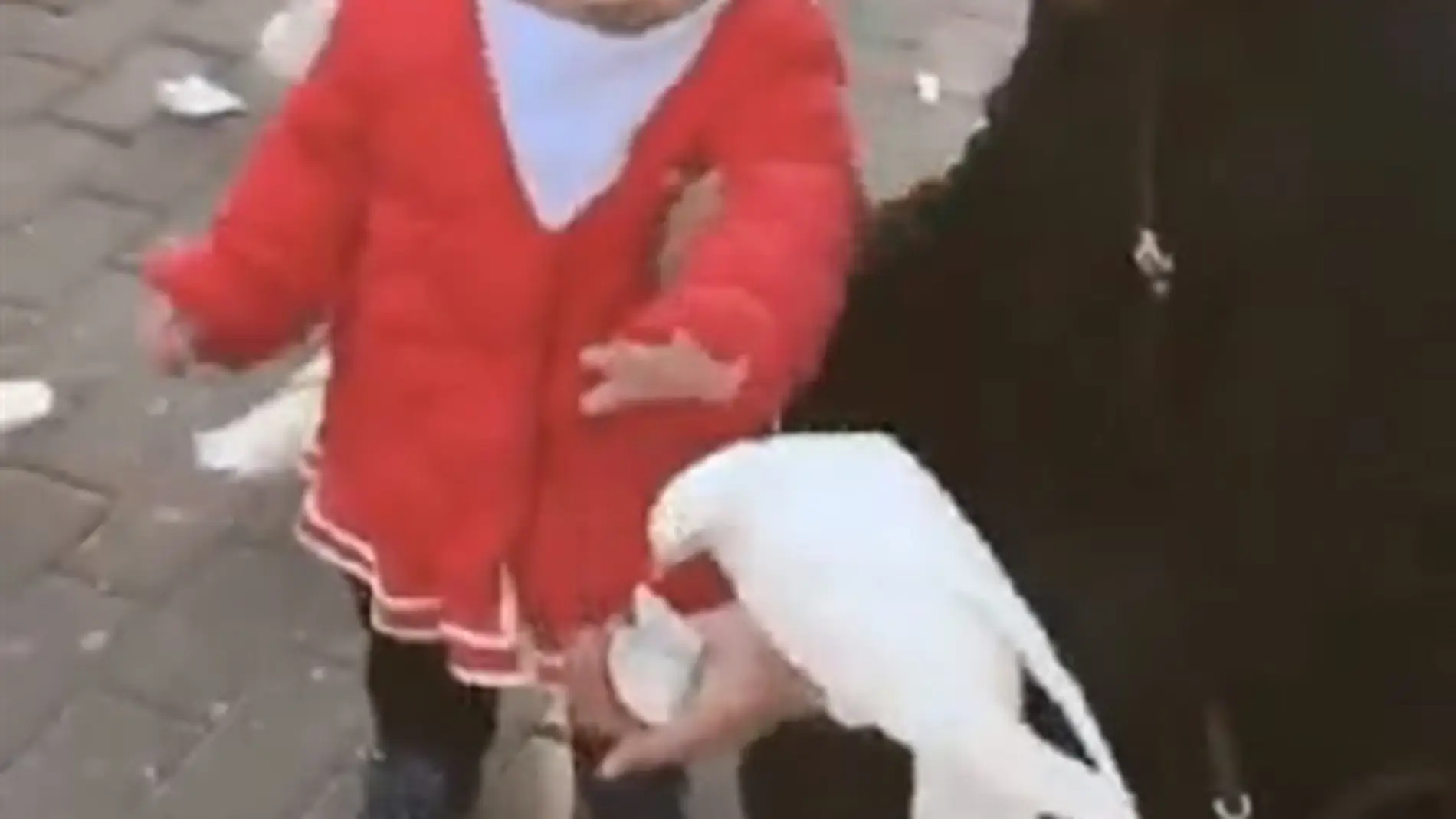 Niña dando de comer a una paloma