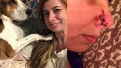 Su perra le salvó la vida gracias a su olfato