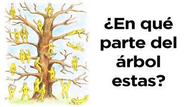 ¿En qué parte del árbol estás? Haz el test piscológico de Pip Wilson
