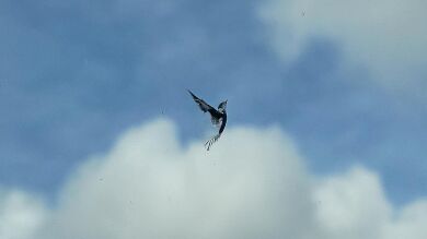 8 fotos de arte creado de forma accidental que no habrían salido a proposito