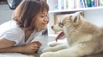 Los perros y los gatos son los nuevos hijos