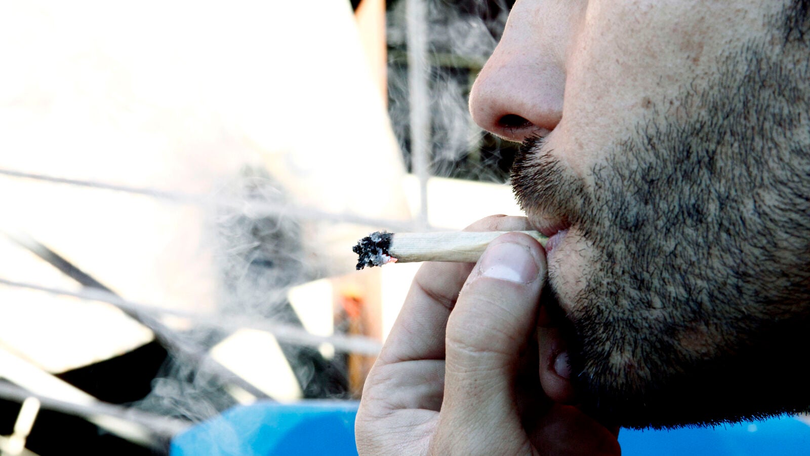 Dan Bilzerian, de influencer de Instagram a rey de la marihuana en California