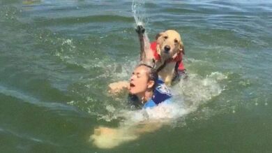 Perro intenta ahogar a su dueña y se vuelve viral