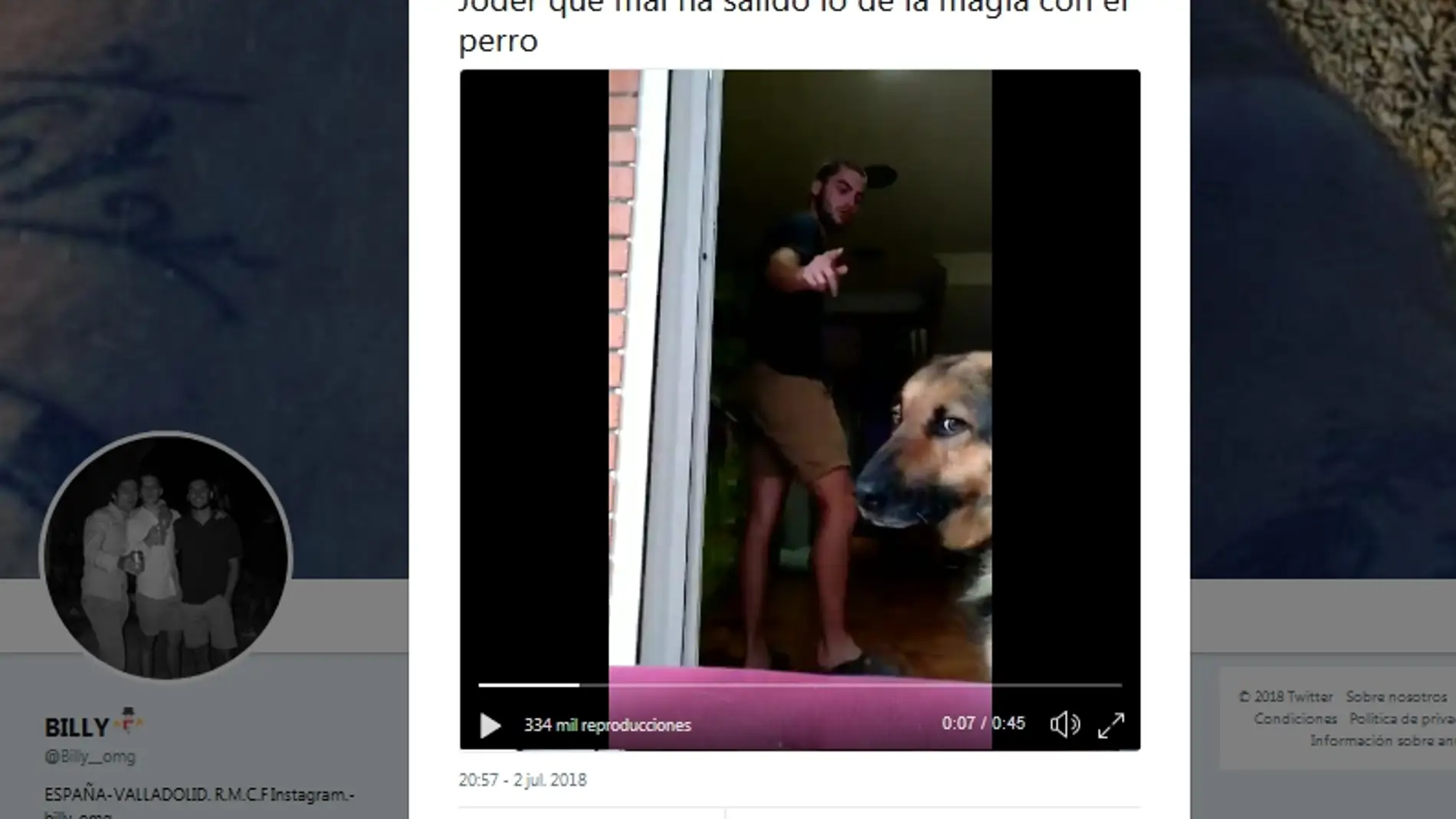 El truco con el perro sale mal