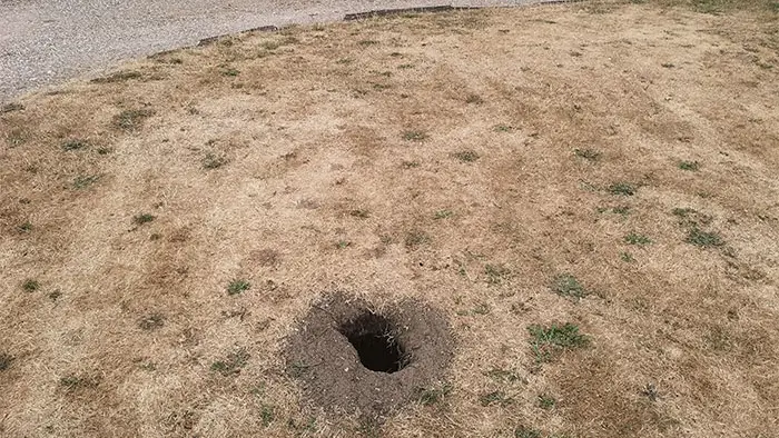 Aparece un agujero en su jardín