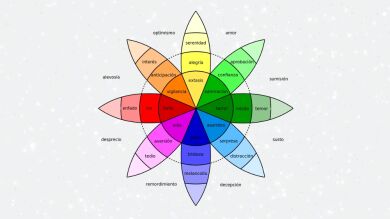 Los colores que eliges en la famosa rueda de las emociones determinan quién eres
