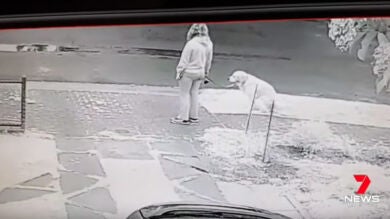 Cansado de que no recogieran la caca del perro delante de su casa este vecino tomó medidas drásticas