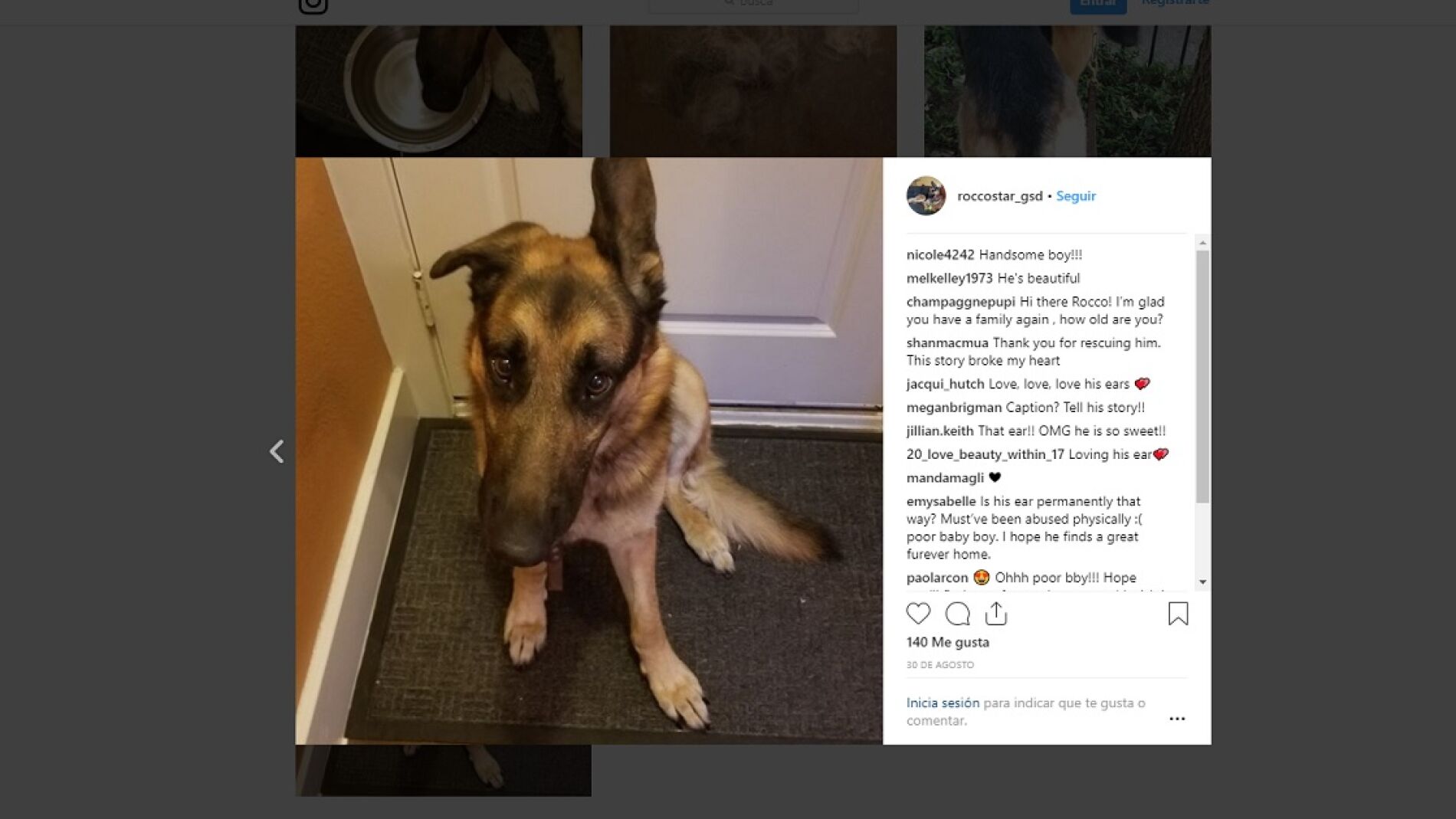 Este perro fue abandonado porque su familia iba a tener un beb&eacute;