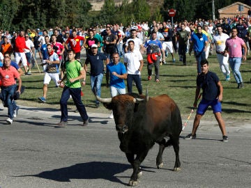 Imagen del festejo del Toro de la Vega, en Tordesillas