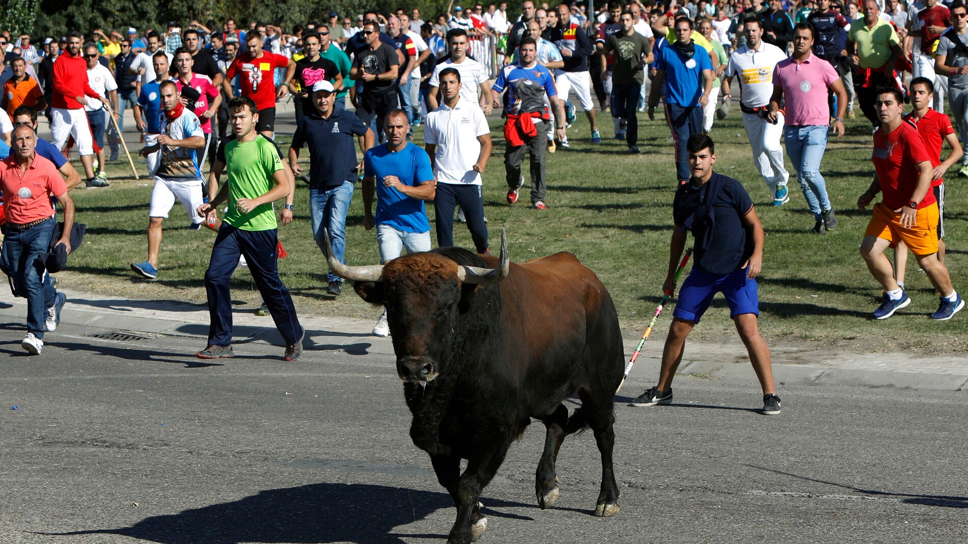 Imagen del festejo del Toro de la Vega, en Tordesillas